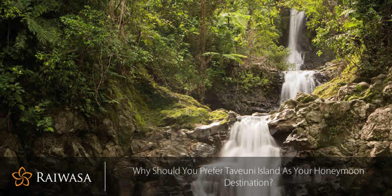 Why Should You Prefer Taveuni Island as Your Honeymoon Destination?
