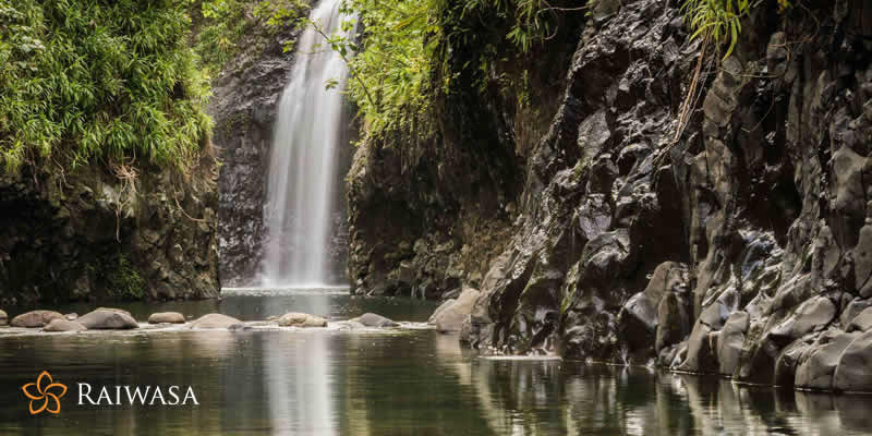 Fiji's Best Kept Secret A Walk Through Taveuni Island